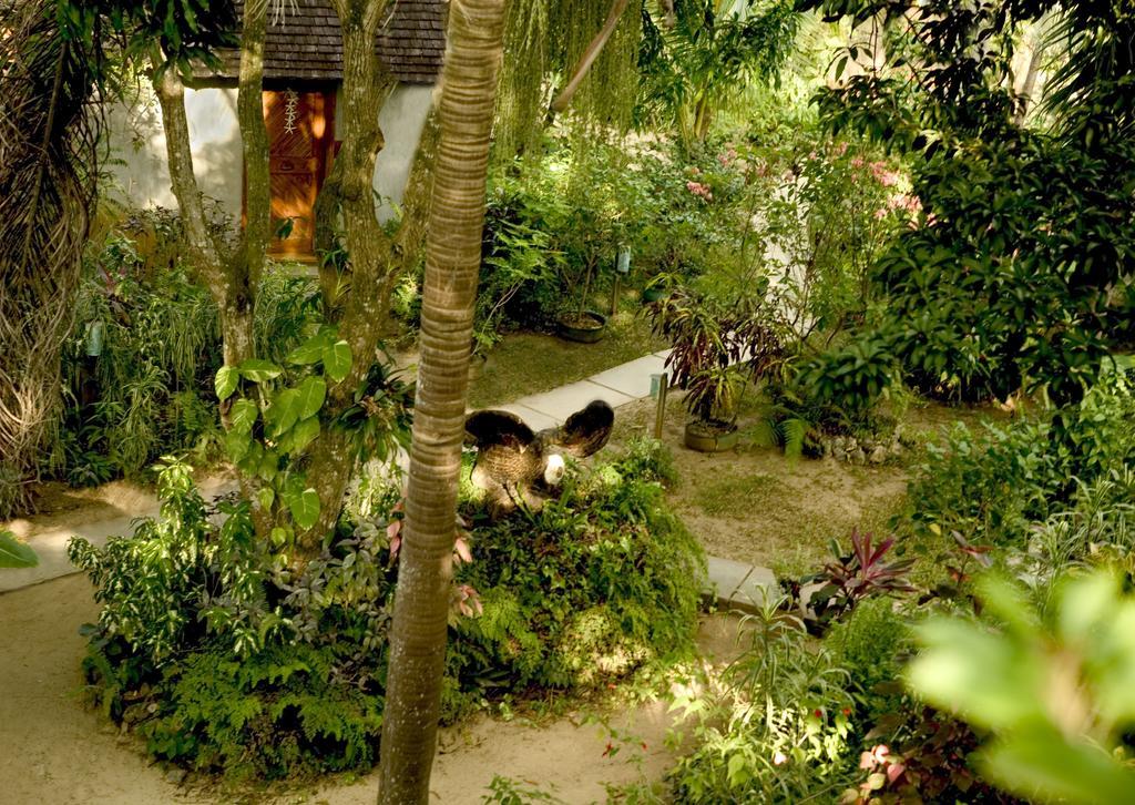 Whistling Bird Hotel Negril Buitenkant foto