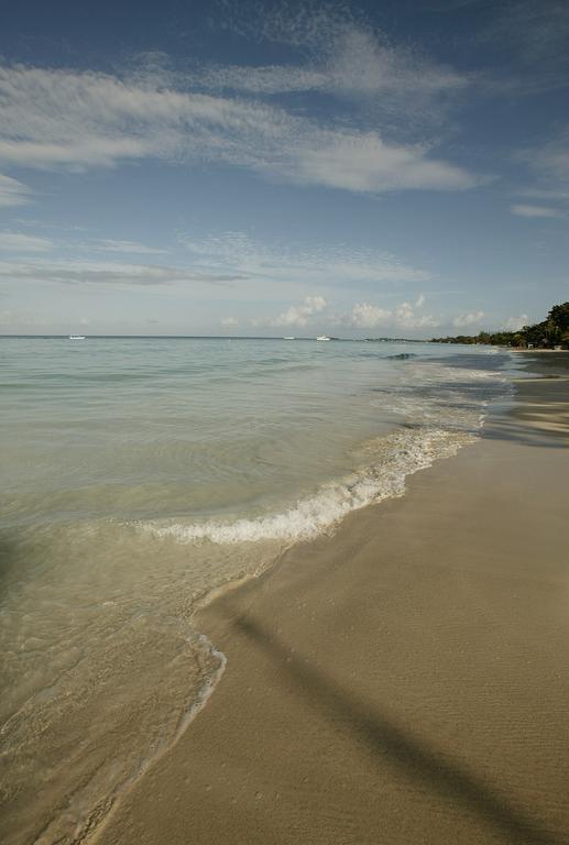 Whistling Bird Hotel Negril Buitenkant foto